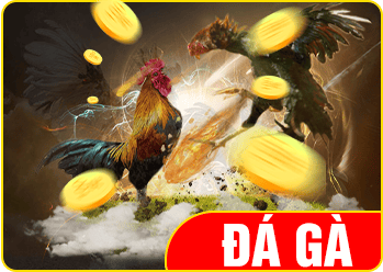 Đá gà